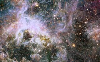Tarantula Nebula Hubble View in Infrared Light 1920