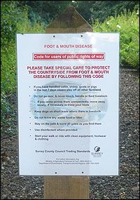 footandmouthsignbdmain.jpg