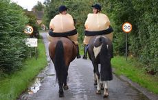 slow down for my horse campaign