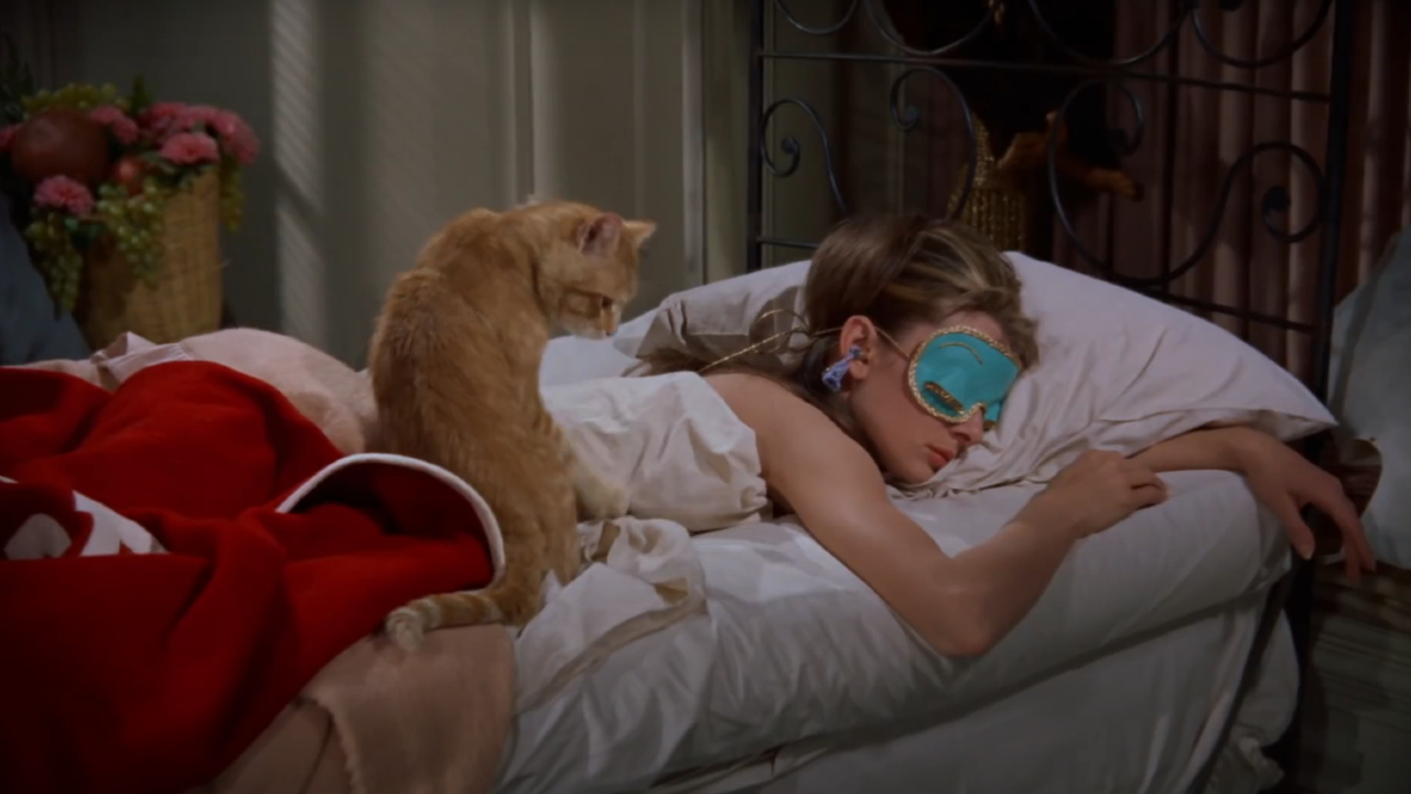 Cat in Breakfast at Tiffany's