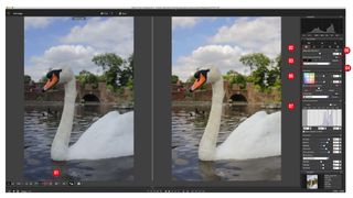 Image for How to use Canon Digital Photo Professional – Canon DPP part 5