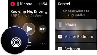 To use the playback controls on Apple Watch, tap the audio icon.