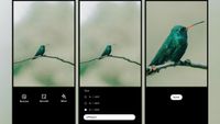 Screenshots show the before and after of an upscale of an image of a humming bird