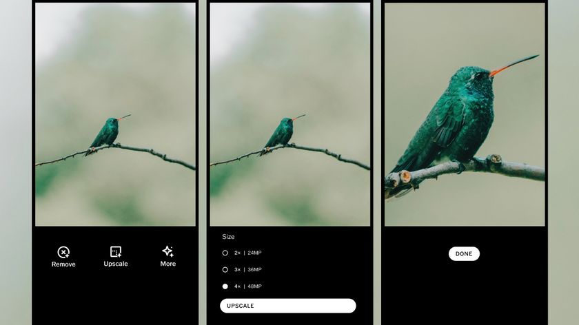 Screenshots show the before and after of an upscale of an image of a humming bird