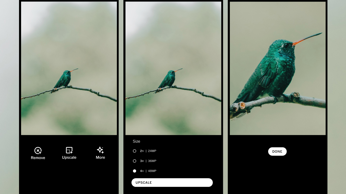 Screenshots show the before and after of an upscale of an image of a humming bird