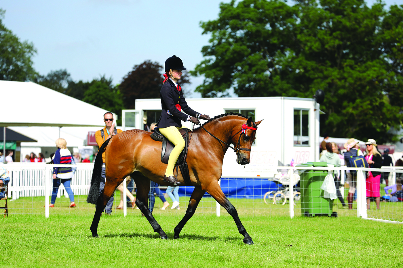 Rotherwood Fancy That_1st class images