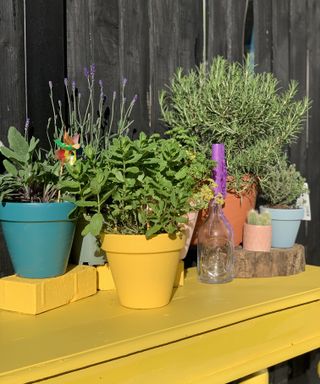 painted planter pots