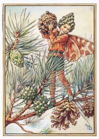 Cicely Mary Barker The Pine Tree Fairy © The Estate of Cicely Mary Barker, 1940, 1990 Reproduced by permission of Frederick Warne & Co.