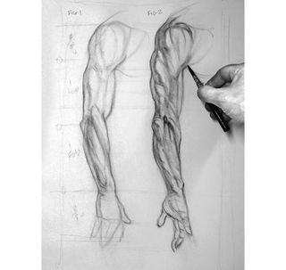 How to draw an arm: hierarchy of muscles