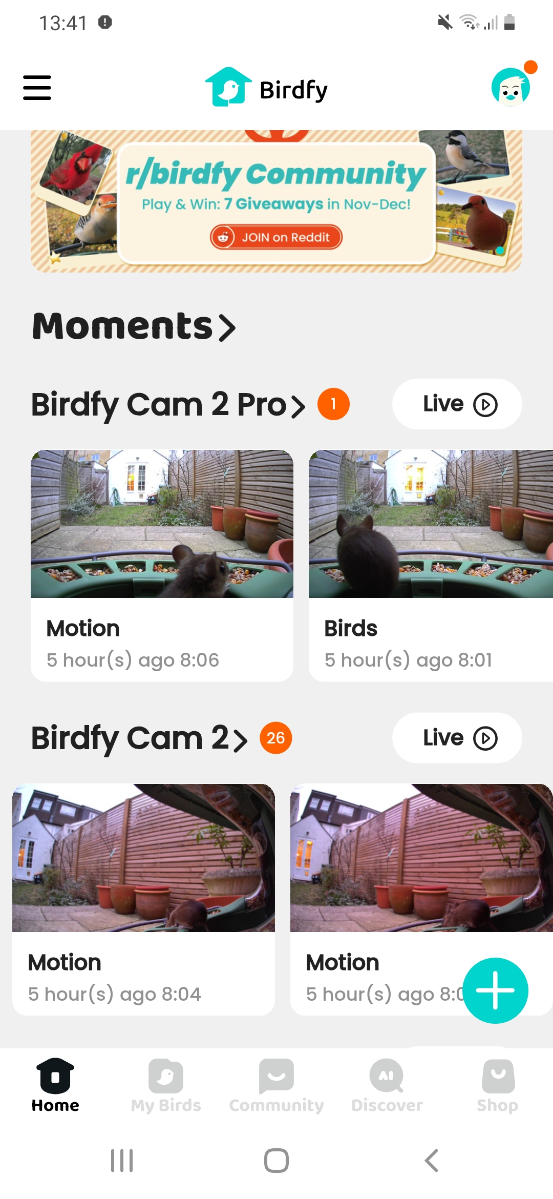 Birdfy Feeder 2 Duo app