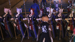 A wall of catgirls in Final Fantasy 14