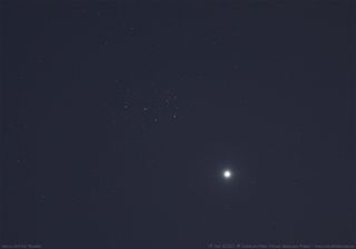 Venus and the Pleiades star cluster, photographed on April 1, 2020, by the Virtual Telescope Project.