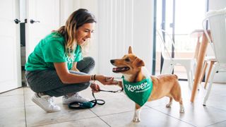 A small dog wearing a green Rover neckerchief while having their claws clipped by a woman in a green Rover top