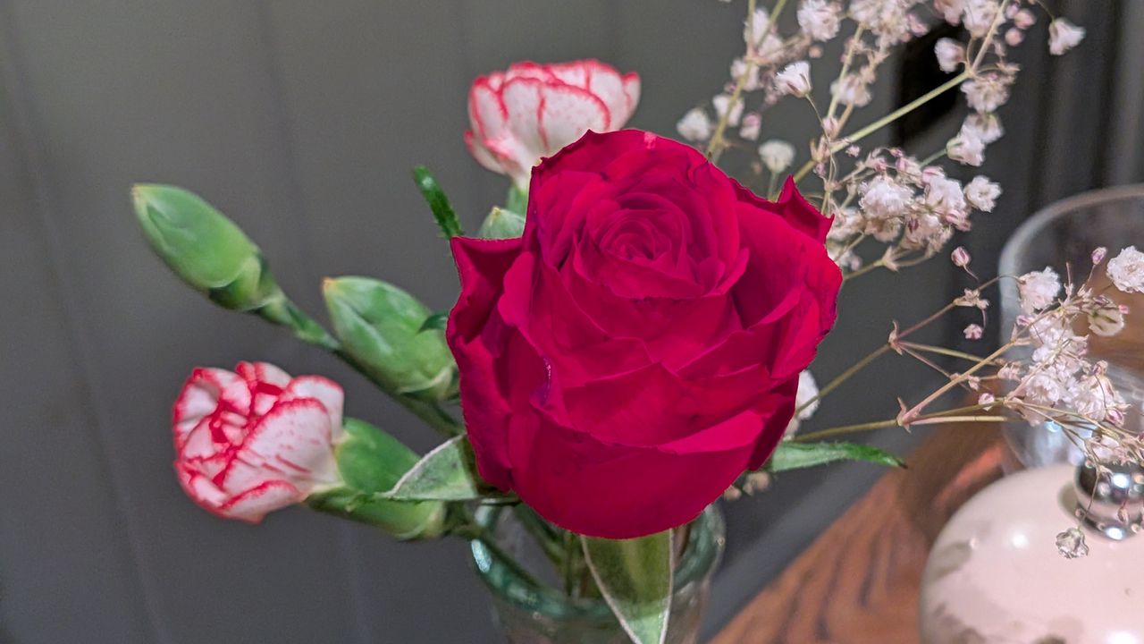 Google Pixel 9a review sample image