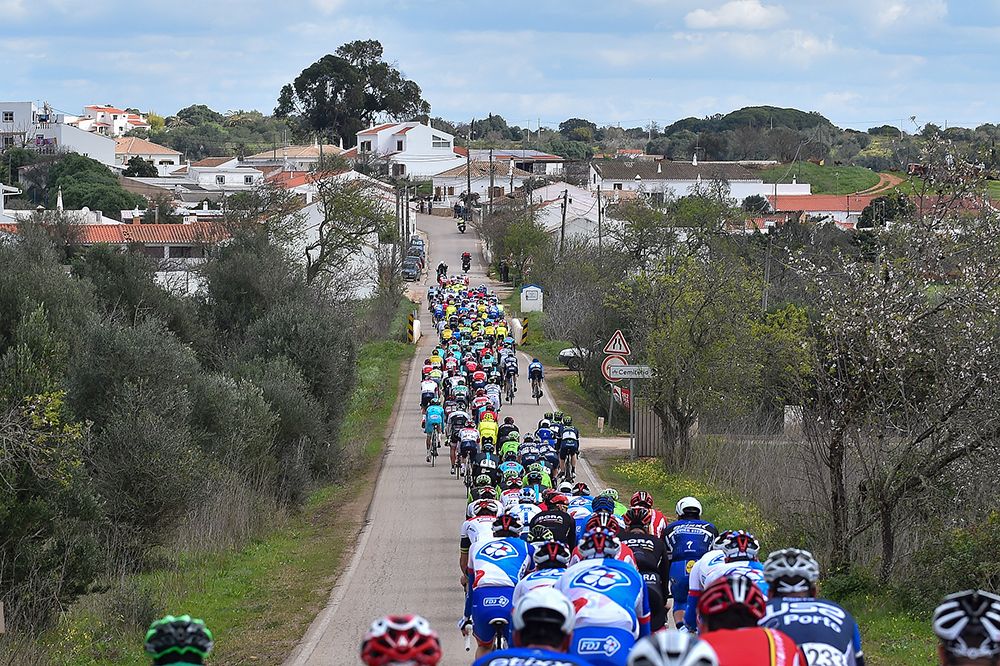 The peloton lined out