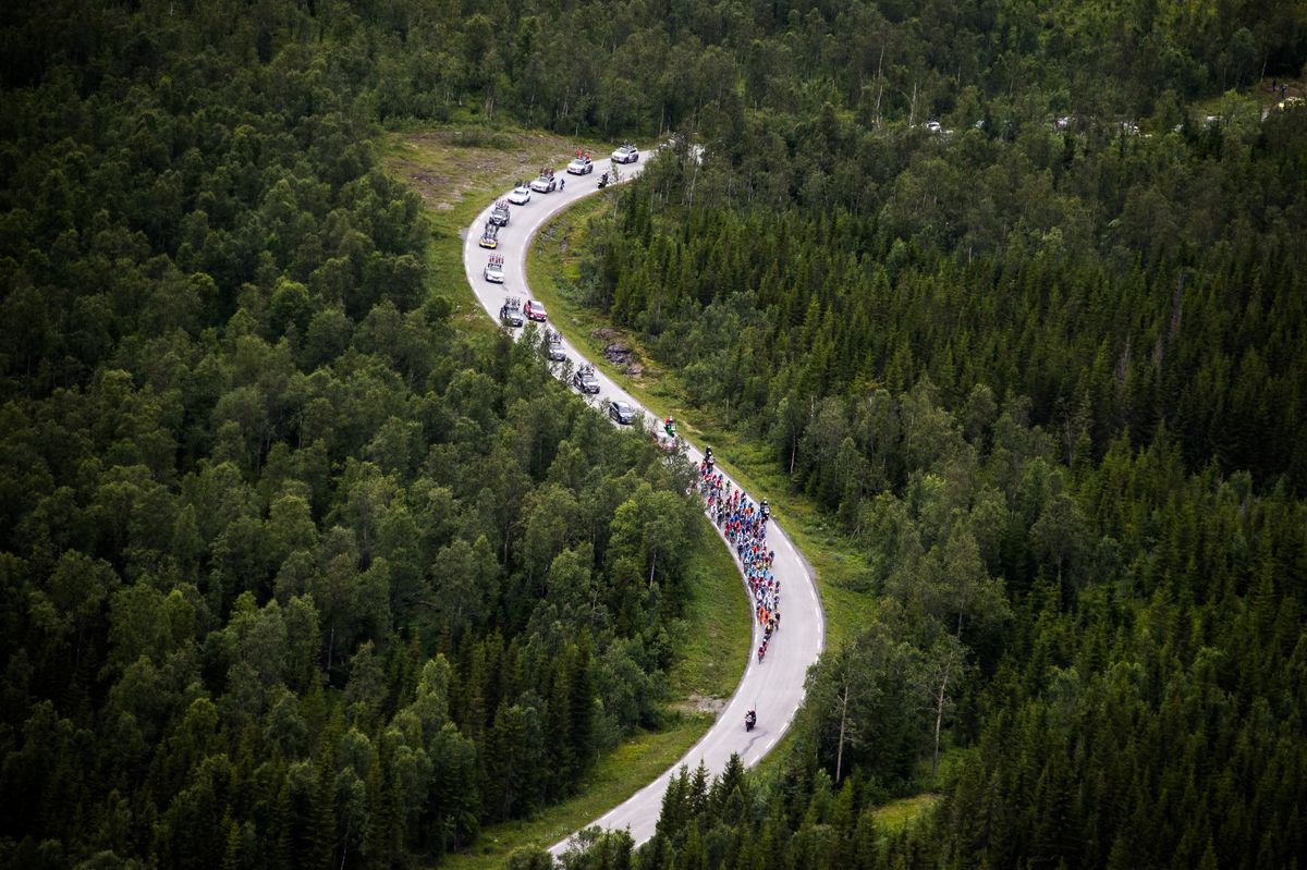 The peloton snaking along