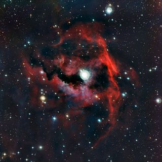 Seagull Nebula Head ESO