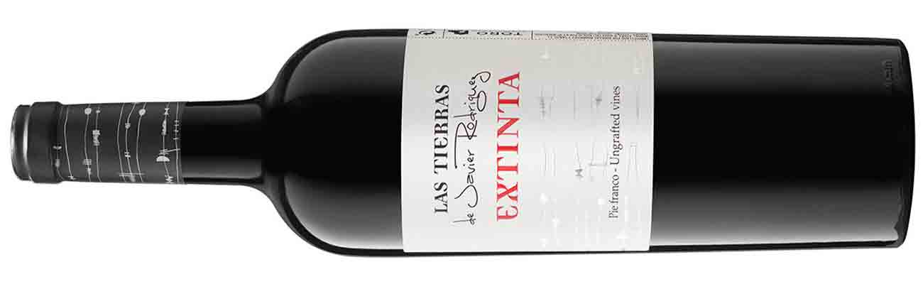 Rodriguez Y Sanzo, Las Tierras Extinta, Toro 2017