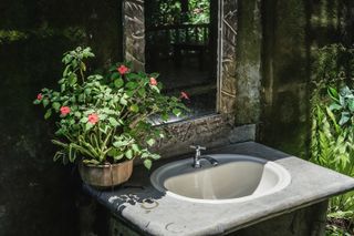 outdoor sink ideas: sink with surrounding greenery