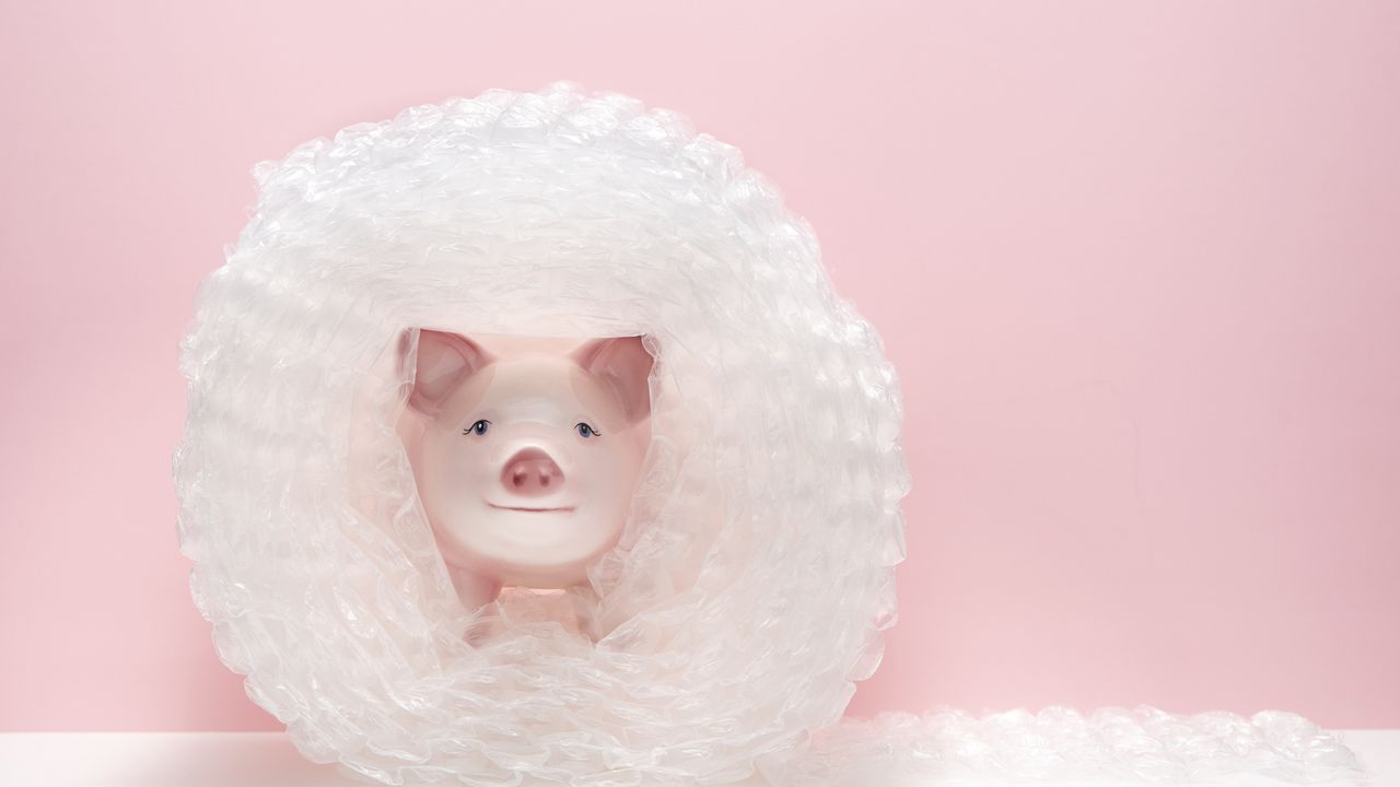 A piggy bank is wrapped in bubble wrap.