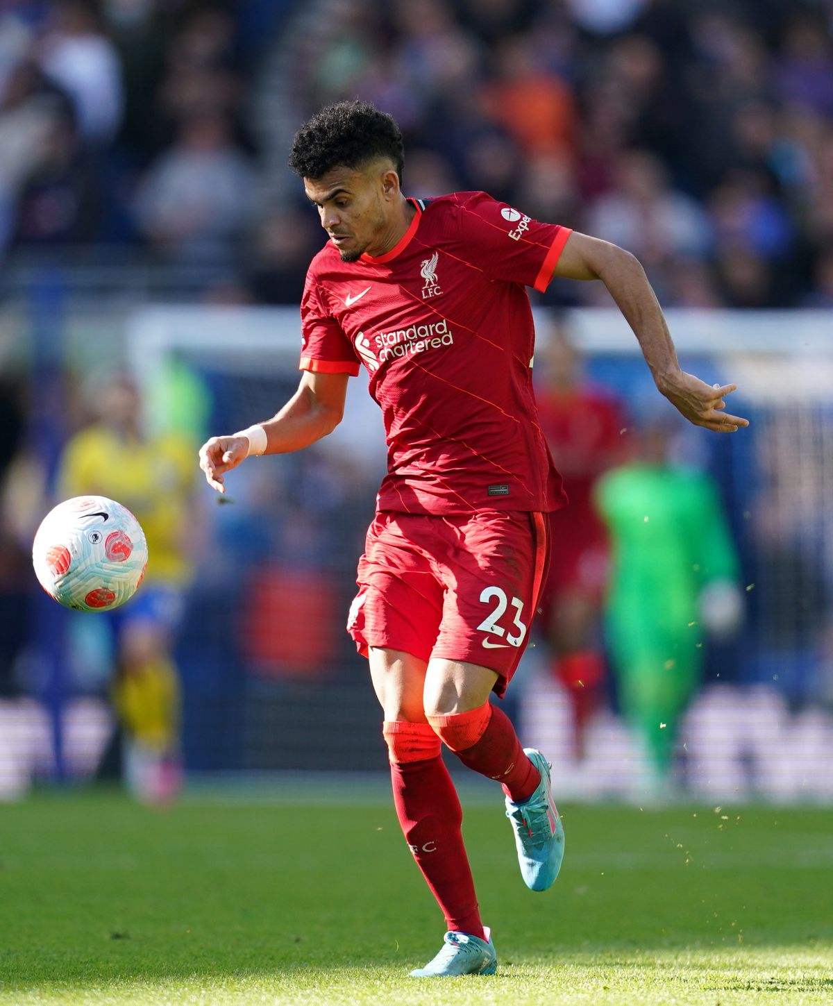 Brighton and Hove Albion v Liverpool – Premier League – AMEX Stadium