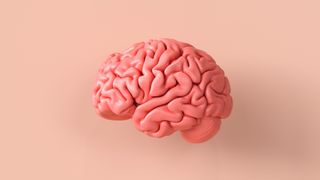 A 3D illustration of a pink human brain on a pale pink background