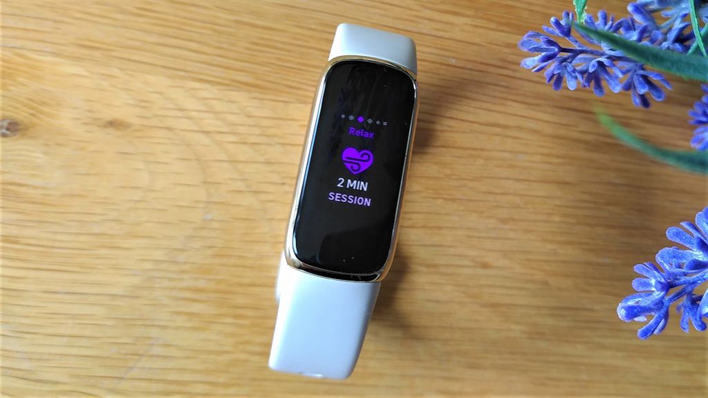 Best fitness trackers 2024 Apple Watch, Fitbit, Garmin and more