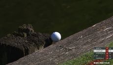 A golf ball sits on a wooden sleeper 