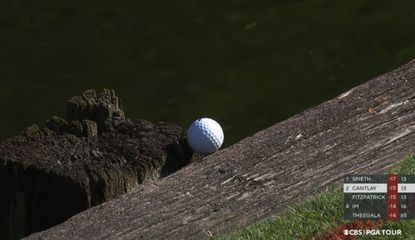 A golf ball sits on a wooden sleeper 
