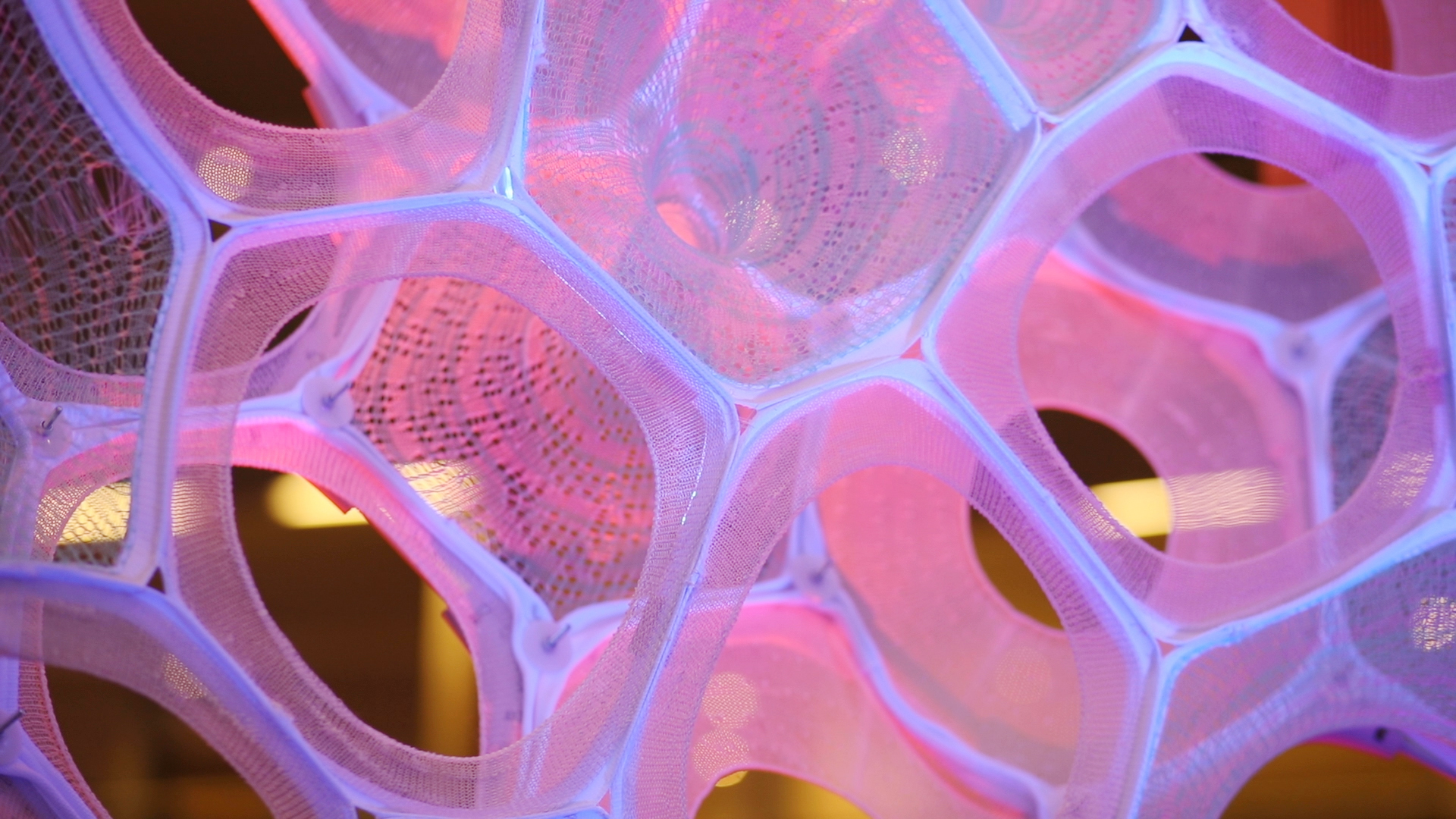 Ada Microsoft and Jenny Sabine collaboration, detail view