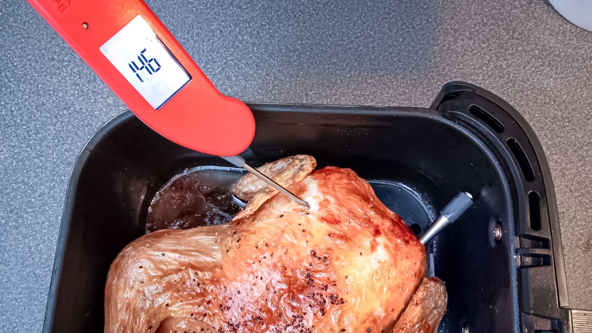 ThermoWorks ThermoPen One thermometer
