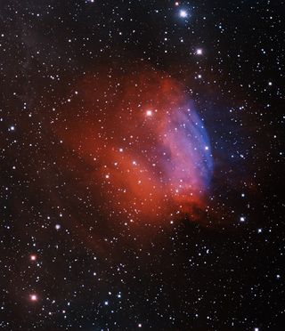 A red and blue cosmic rose