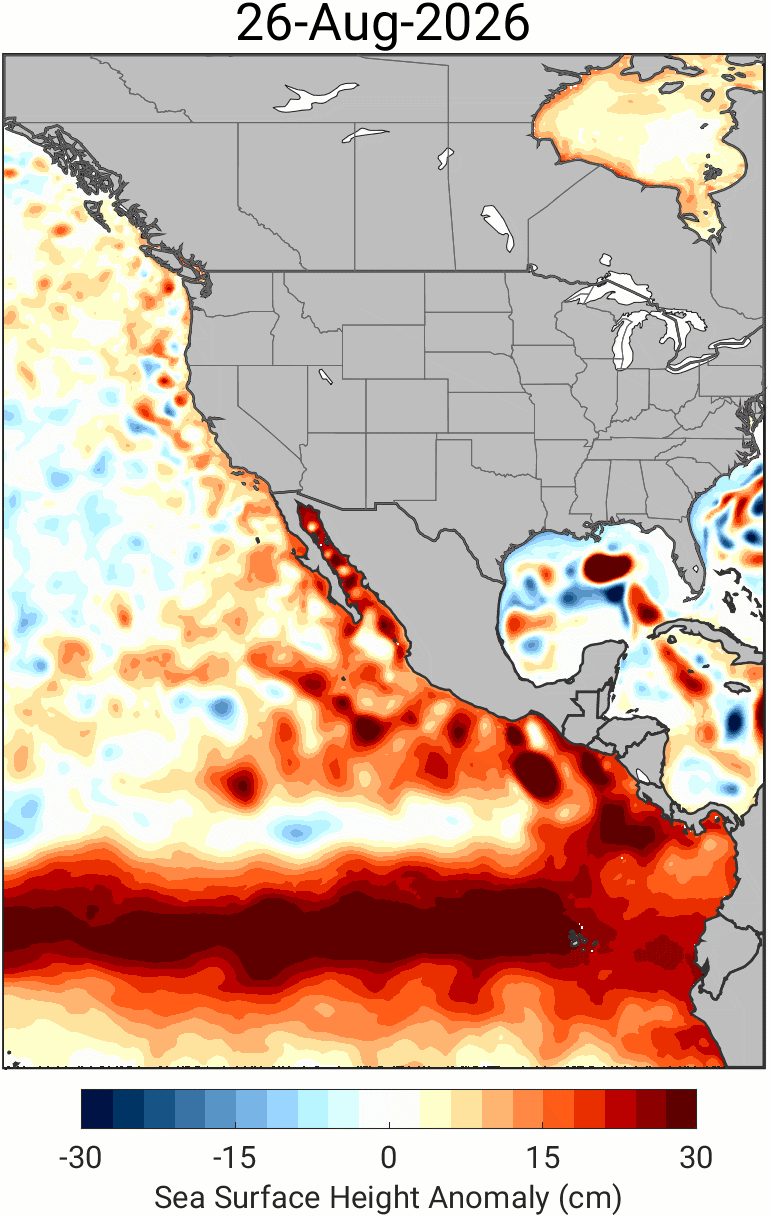 Animation showing a Kelvin wave hitting the coast of South America and advancing up the coast of North America.