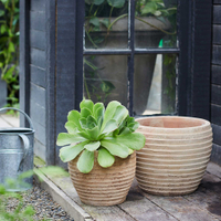 Antiqued Ring Ceramic Jar Planter, 15" | $168 from Terrain