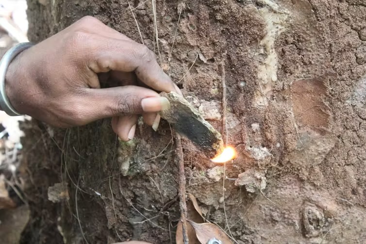 Un hombre sostiene un trozo de resina de árbol que fue incendiado.