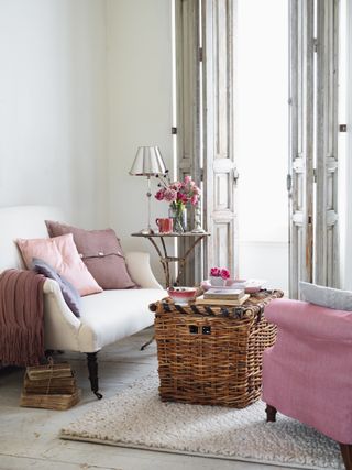 Blush pink traditional living room