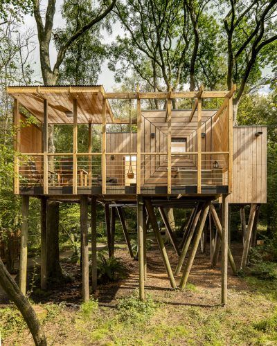 Guy Mallinson created Mallinson's Woodland Retreat