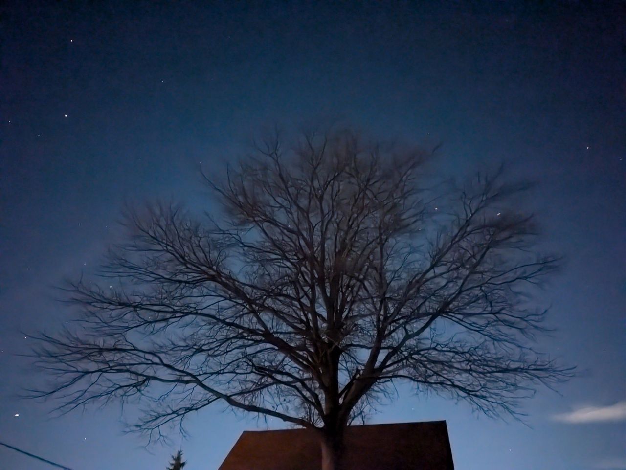 Google Pixel 8a low light sample.