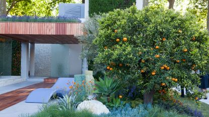 Modern recliners next to swimming pool in contemporary Mediterranean style garden