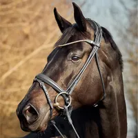 Finesse Himalaya Rolled Flash Bridle | 30% off at RedpostWas &pound;279.30 Now &pound;399