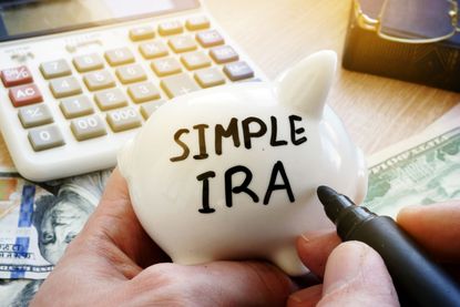 The phrase SIMPLE IRA is written on a piggy bank. 