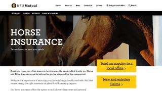 best equine insurance