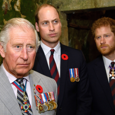 Prince Charles, Prince of Wales, Prince William, Duke of Cambridge and Prince Harry visit the tunnel and trenches at Vimy Memorial Park during the commemorations for the centenary of the Battle of Vimy Ridge on April 9, 2017 in Vimy, France. The Battle Of Vimy Ridge was fought during WW1 as part of the initial phase of the Battle of Arras. Although British-led, it was mostly fought by the Canadian Corps. A centenary commemorative service will be held at the Canadian National Vimy Memorial in France attended by the Prince of Wales, The Duke of Cambridge and Prince Harry and representatives of the Canadian Government.