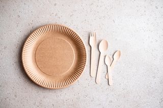 A green background with a recycled paper plate and wooden knives and forks