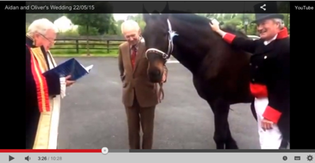 man marries horse