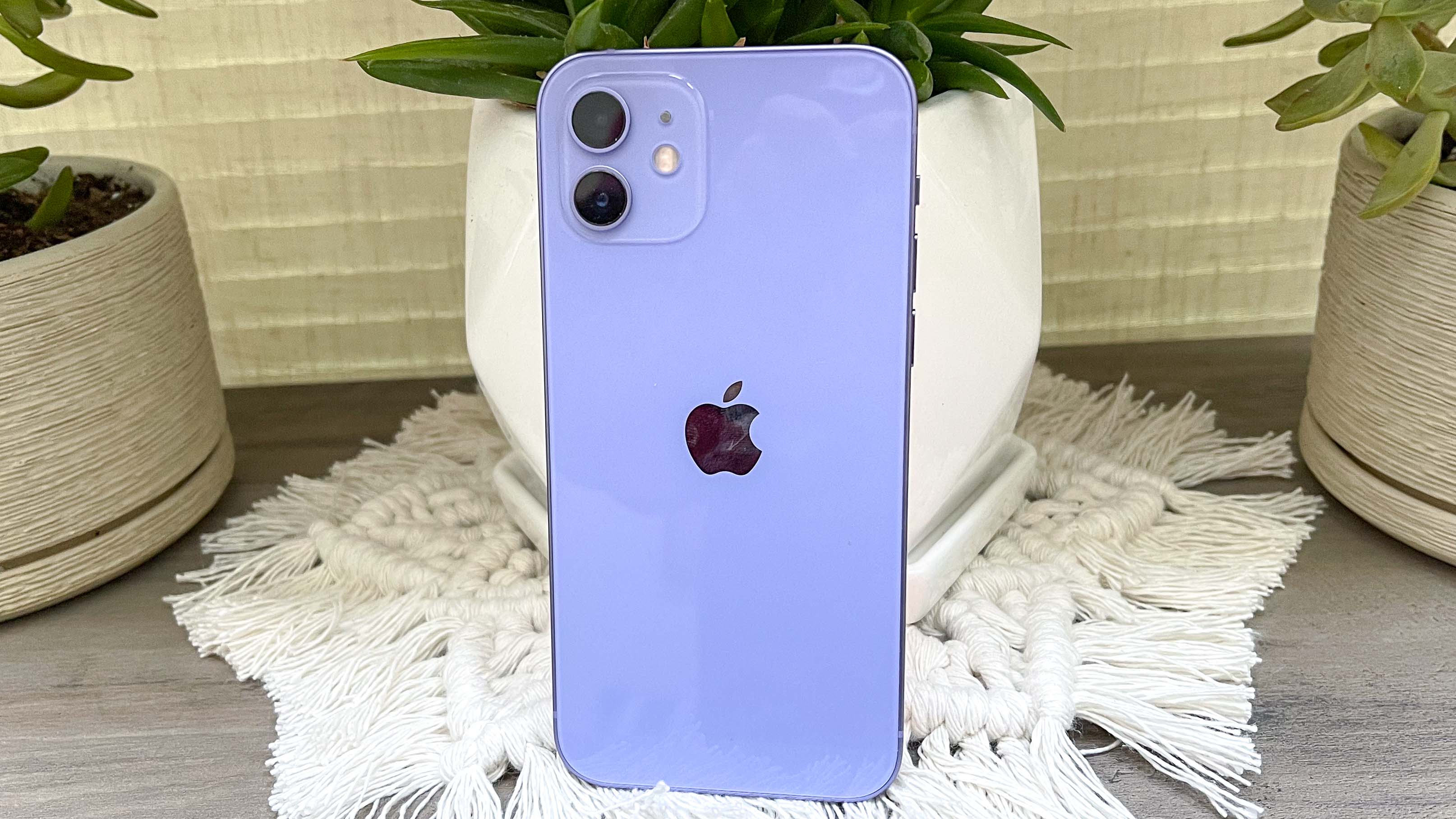 Purple iPhone 12