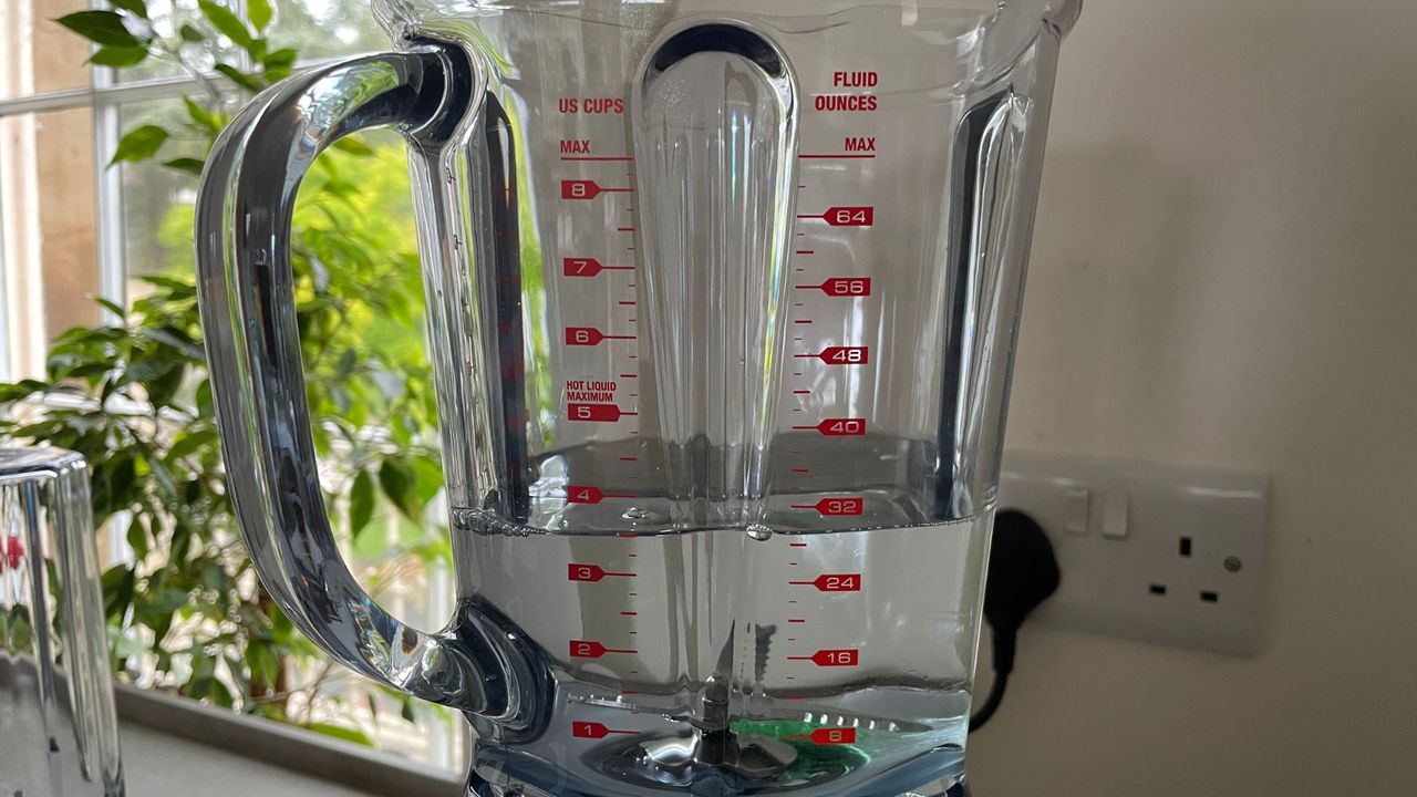 Sage The Q Blender