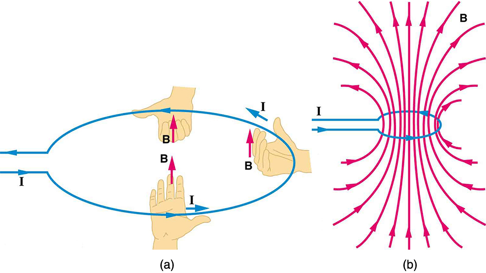 In a current-carrying circular loop, (a) the right-hand rule gives the direction of the magnetic field inside and outside the loop. (b) More detailed mapping of the field, which is similar to that of a bar magnet.