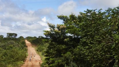 Plant community, Trail, Dirt road, Soil, Shrubland, Bicycle, Path, Jungle, Cycle sport, Mountain biking, 