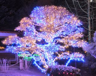 Outdoor lights in pastel tones in a large garden tree